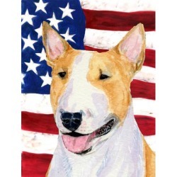 Carolines Treasures SS4023GF 11 x 15 in. USA American Flag with Bull Terrier Garden Size Flag