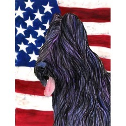 Carolines Treasures SS4052GF 11 x 15 in. USA American Flag with Briard Garden Size Flag