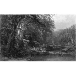 Posterazzi SAL9001042 The Adirondack Woods Ca.1874 James Mcdougal Hart 1828-1901 American Etching Poster Print - 18 x 24 in.