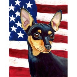 Carolines Treasures LH9004GF 11 x 15 In. Usa American Flag With Min Pin Flag, Garden Size