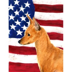 Carolines Treasures SS4222GF 11 x 15 in. Usa American Flag With Min Pin Flag Garden Size