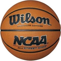 Wilson WTB0946ID - Street Shot Intermediate Basketball 28.5'