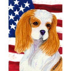 Carolines Treasures SS4012GF 11 x 15 in. USA American Flag with Cavalier Spaniel Garden Size Flag