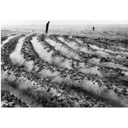 Posterazzi SAL9902422 Plowed Field Missouri USA Poster Print - 18 x 24 in.