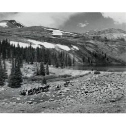 Posterazzi SAL25545730 Colorado USA Poster Print - 18 x 24 in.
