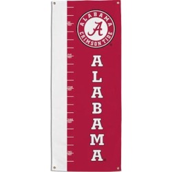 Growth Chart Banner 39002