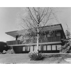 Posterazzi SAL25532047 Tree in Front of a House Seattle Washington USA Poster Print - 18 x 24 in.