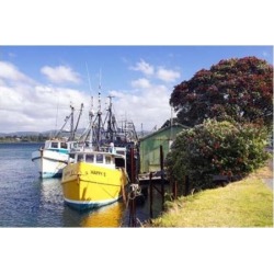 Posterazzi PDDAU02DWA0025 Fishing Boats Tauranga Harbor Tauranga New Zealand Poster Print by David Wall - 26 x 17 in.