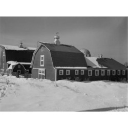 Posterazzi SAL255423843 Farm Buildings on Dairy Farm Poster Print - 18 x 24 in.