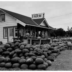 Posterazzi SAL255422027 Farmers Market for Fruit & Vegetables Poster Print - 18 x 24 in.
