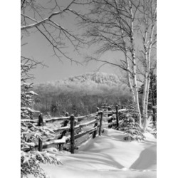 Posterazzi SAL255423868 USA New Hampshire Winter Landscape Poster Print - 18 x 24 in.