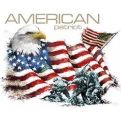 Posterazzi PALMACSTU135367 American Patriot Poster Print by the Macneil Studio - 20 x 16 in.