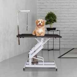 PawHut Deluxe Professional Z - Lift Hydraulic Pet Dog Grooming Table with Arm