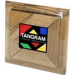 Tangram Brain Teaser Puzzle