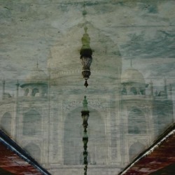 Upside-down reflection of Taj Mahal in a pool of water Agra Uttar Pradesh India Poster Print (15 x 15)