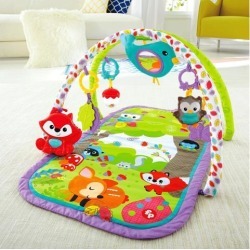 Fisher-Price 3-in-1 Musical Activity Gym