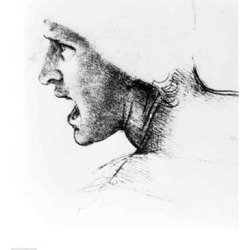 Posterazzi BALXJF311695LARGE Study for The Head of A Soldier in The Battle of Anghiari Poster Print by Leonardo Da Vinci - 24 x 36 in. - Large