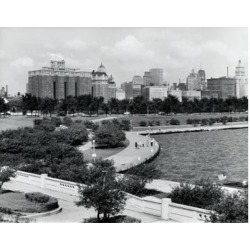 Posterazzi SAL25545076 USA Illinois Chicago Trees in Front of Buildings Poster Print - 18 x 24 in.