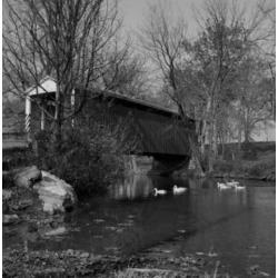Posterazzi SAL255424793 Covered Bridge & Ducks in Water Poster Print - 18 x 24 in.
