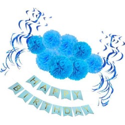 Happy Birthday Banner Set Foil Swirls Paper Flower PomPom Party Decor Blue