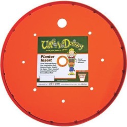 Bloem Apopka 13' Round Ups A Daisy T6323 Unit: EACH