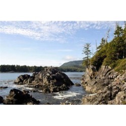 Outcrop, Hot Springs Cove, Vancouver Island, British Columbia Poster Print by Matt Freedman (22 x 15)