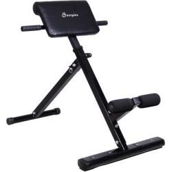 Soozier Folding Back Hyper Extension Bench Hyperextension Roman Chair