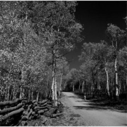 Posterazzi SAL255424879 USA Utah Country Road in Woods Poster Print - 18 x 24 in.