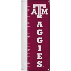 Growth Chart Banner 39030