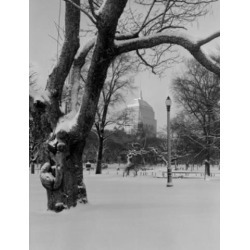 Posterazzi SAL255423855 USA Massachusetts Boston Park Covered by Snow Building in the Background Poster Print - 18 x 24 in.