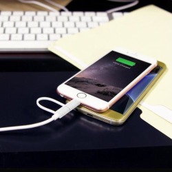 2 in 1 Micro USB Lightning Data Sync Cable