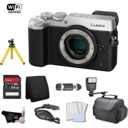 Panasonic Lumix Mirrorless Micro Four Thirds Digital Camera (Body Only, Silver) Bundle with 64GB Memory Card + Carrying Case + More