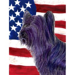 Carolines Treasures SS4219GF 11 x 15 in. Usa American Flag With Skye Terrier Flag Garden Size