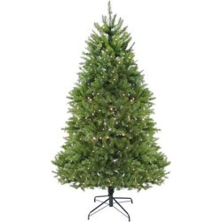 14' Pre-Lit Northern Pine Full Artificial Christmas Tree - Warm Clear LED Lights