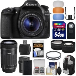 Canon EOS 80D Wi-Fi Digital SLR Camera & EF-S 18-55mm IS STM with 55-250mm IS STM Lens + 64GB Card + Battery + Backpack + Tele/Wide Lens Kit