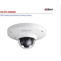 Dahua IPC-EB5500 IP Camera 5MP Vandal-proof Network Fisheye Camera With SD Slot POE Camera