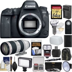 Canon EOS 6D Mark II Wi-Fi Digital SLR Camera Body with EF 70-200mm f/2.8 L IS II Lens + 64GB Card + Backpack + Flash + Light + Battery & Charger Kit
