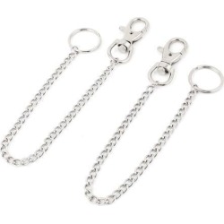 Unique Bargains 2pcs Split Ring Trigger Belt Snap Hook Key Chain Keyring Holder
