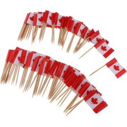 100 Pieces Decorative Flag Toothpicks Party Food Decorations Canada