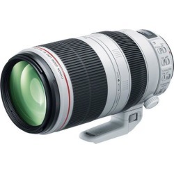 Canon EF 100-400mm f/4.5-5.6L IS II USM Lens (International Version)