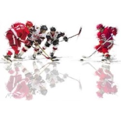 Posterazzi PALMACSTU132188 Ice Hockey 1 Poster Print by the Macneil Studio - 36 x 24 in.