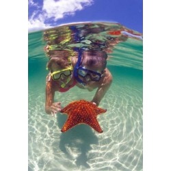 Snorkeling in the Blue Waters of the Bahamas Poster Print by Greg Johnston (24 x 35)