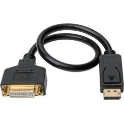 Tripp Lite P134-001-GC DisplayPort to DVI Cable Adapter - M/F, Black, 1 ft. - 1 ft DisplayPort/DVI-I Video Cable for Video Device, Notebook.