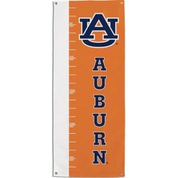 Growth Chart Banner 39045