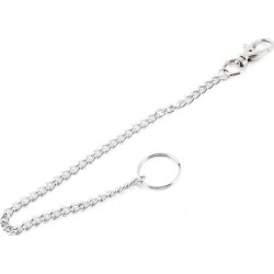 Unique Bargains Portable Split Ring Metal Lobster Clasp Carabiner Hook Keychain Key Holder