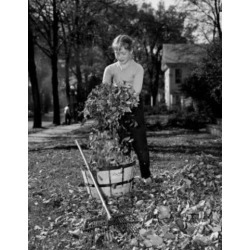 Posterazzi SAL255421139 Girl Holding Autumn Leaves on Lawn Poster Print - 18 x 24 in.