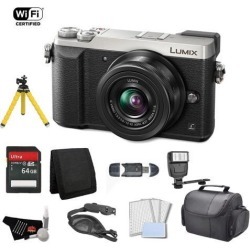 Panasonic Lumix 4k Mirrorless Micro Four Thirds Digital Camera with 12-32mm Lens (Silver) Bundle with 64GB Memory Card + Carrying Case + More