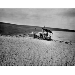 Posterazzi SAL2554622 Combine in a Wheat Field Washington USA Poster Print - 18 x 24 in.