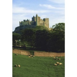 Posterazzi DPI1808907LARGE Rock of Cashel Co Tipperary Ireland - Medieval Irish Castle Poster Print by The Irish Image Collection, 24 x 36 - Large