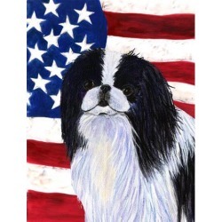 Carolines Treasures SS4223GF 11 x 15 in. Usa American Flag With Japanese Chin Flag Garden Size